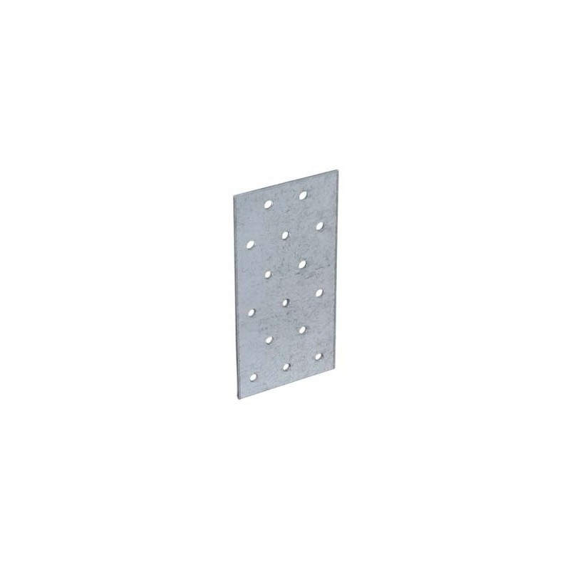 PLACA PERFORATA PENTRU LEMN  40x100x2 MM (J-PP-40100)